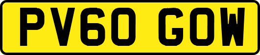 PV60GOW