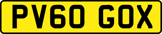 PV60GOX