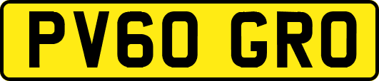PV60GRO