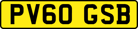 PV60GSB