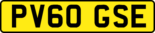 PV60GSE