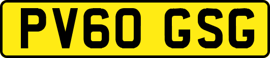 PV60GSG