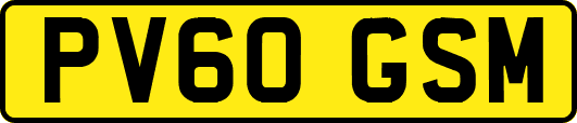 PV60GSM