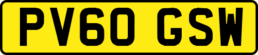 PV60GSW