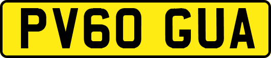 PV60GUA