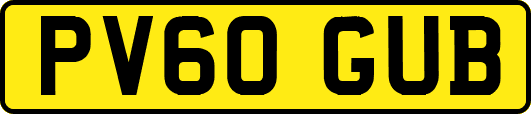 PV60GUB