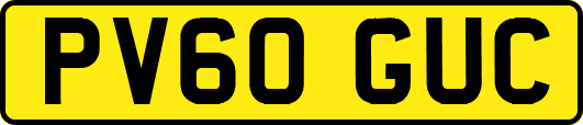PV60GUC