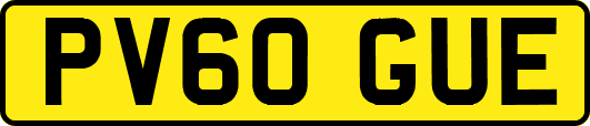 PV60GUE