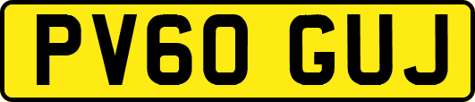 PV60GUJ