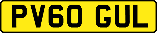 PV60GUL