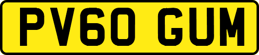 PV60GUM
