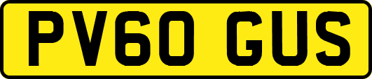 PV60GUS