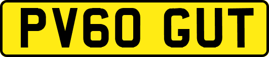 PV60GUT