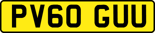 PV60GUU