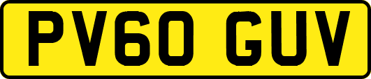 PV60GUV