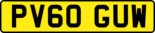 PV60GUW