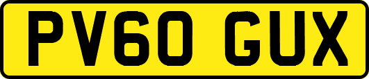 PV60GUX