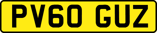 PV60GUZ