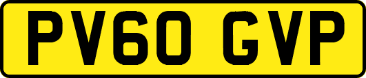 PV60GVP