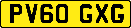 PV60GXG