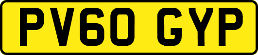 PV60GYP