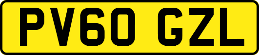 PV60GZL