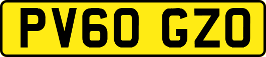 PV60GZO