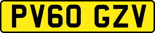 PV60GZV