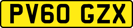 PV60GZX