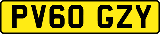 PV60GZY