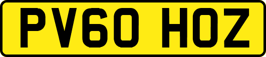 PV60HOZ