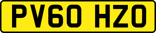 PV60HZO