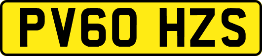 PV60HZS