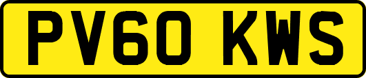PV60KWS