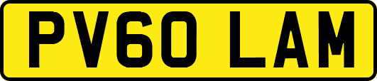PV60LAM