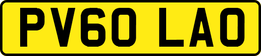PV60LAO