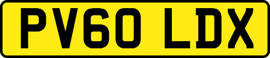 PV60LDX