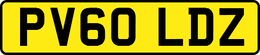 PV60LDZ