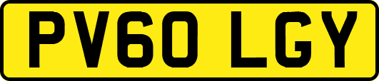 PV60LGY