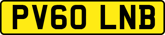 PV60LNB