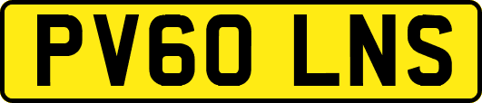 PV60LNS