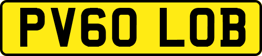 PV60LOB