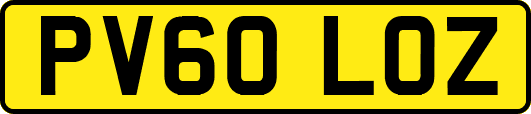PV60LOZ