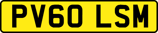 PV60LSM