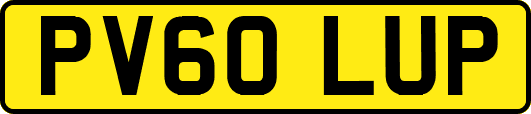 PV60LUP