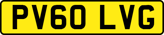 PV60LVG