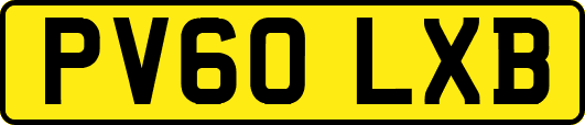 PV60LXB