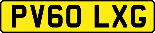 PV60LXG