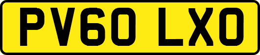 PV60LXO