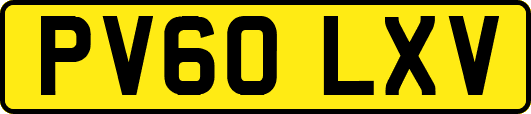 PV60LXV